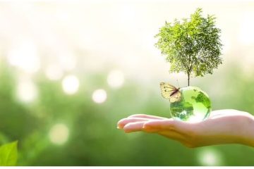 aa